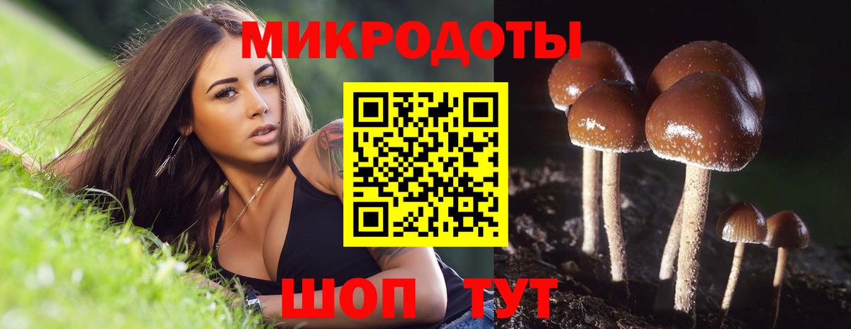 Каменск-Уральский  дарнет шоп  Вход с VPN  Галлюциногенные грибы GOLDEN TEACHER  Галлюциногенные грибы Psilocybe 